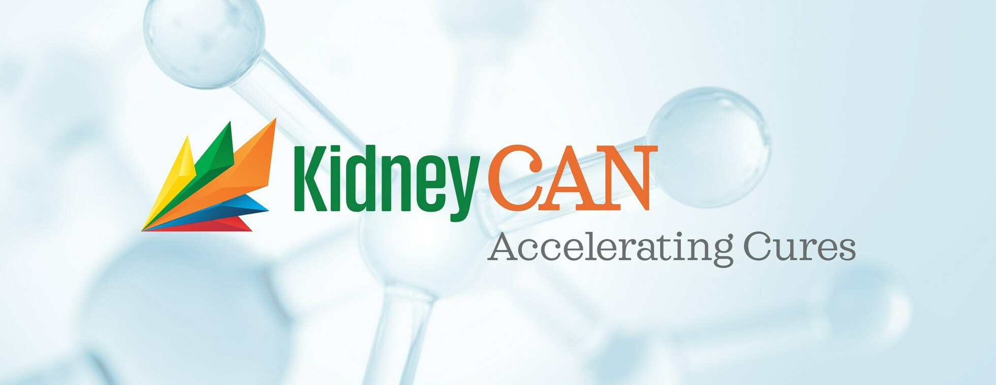 Fundraise Your Way for KidneyCAN